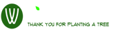 whitespace consultancy logo